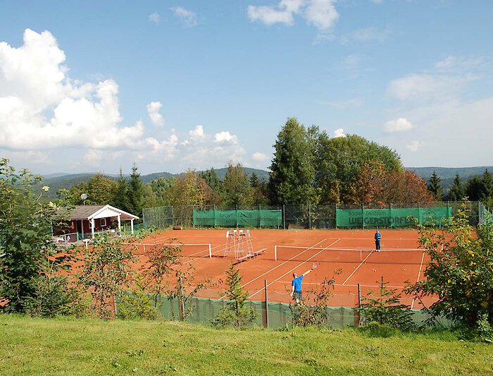 Bayerischer Wald